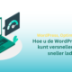 Optimalisatie van WordPress-prestaties voor sneller laden - Maven Infotech